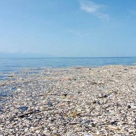 Mengenal 'Great Pacific Garbage Patch': Pulau Sampah yang Lebih Luas dari Negara